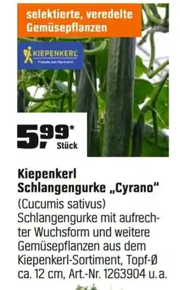 OBI Kiepenkerl Schlangengurke „,Cyrano" (Cucumis sativus) Angebot