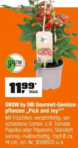 OBI GROW by OBI Gourmet-Gemüse- pflanzen,,Pick and Joy" Angebot