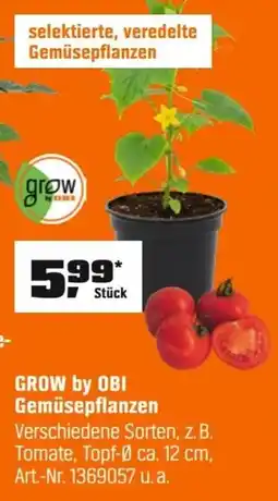 OBI GROW by OBI Gemüsepflanzen Verschiedene Sorten, z. B. Tomate, Topf-Ø ca. 12 cm, Art.-Nr. 1369057 u. a. Angebot