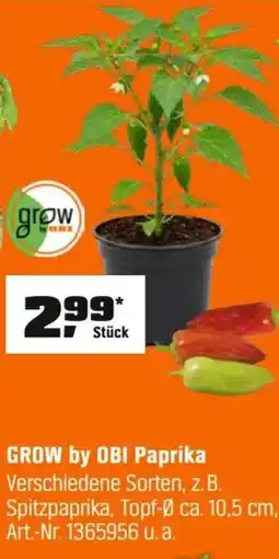 OBI GROW by OBI Paprika Angebot