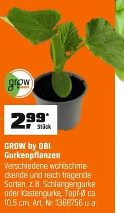 OBI GROW by OBI Gurkenpflanzen Angebot