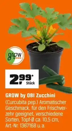 OBI GROW by OBI Zucchini (Curcubita pep.) Angebot