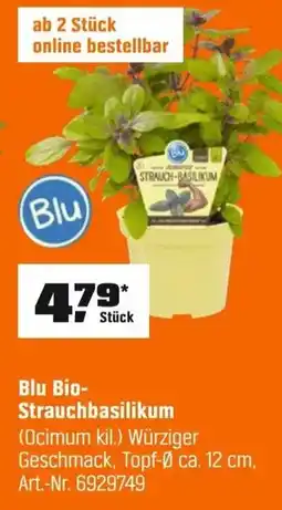 OBI Blu Bio- Strauchbasilikum (Ocimum kil.) Angebot