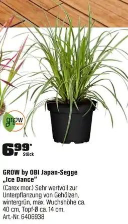 OBI GROW by OBI Japan-Segge „Ice Dance" (Carex mor.) Angebot