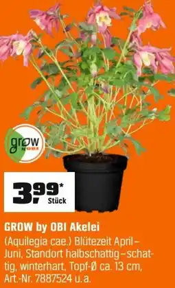 OBI GROW by OBI Akelei (Aquilegia cae.) Angebot