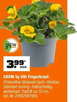 OBI GROW by OBI Fingerkraut (Potentilla) Angebot