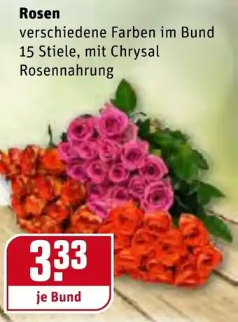 REWE Rosen Angebot