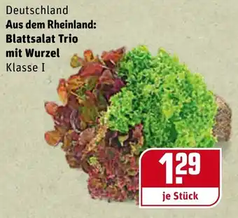 REWE Blattsalat Trio mit Wurzel Angebot