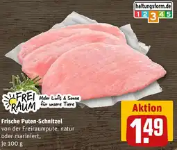 REWE Frische Puten-Schnitzel Angebot
