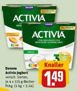 REWE Danone Activia Joghurt Angebot