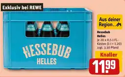 REWE Hessebub Helles Angebot