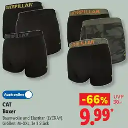 Lidl CAT Boxer Angebot