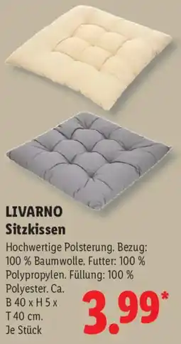 Lidl LIVARNO Sitzkissen Angebot