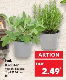 Kaufland Ital. Kräuter Angebot