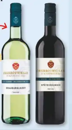 trinkgut Kaiserstühler Winzerverein Oberrotweil Oberrotweiler Grauburgunder Angebot
