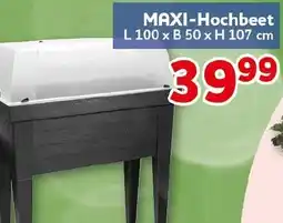 CENTERSHOP MAXI-Hochbeet Angebot