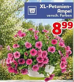CENTERSHOP XL-Petunien Ampel Angebot