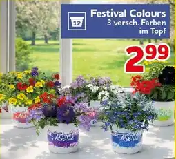 CENTERSHOP Festival Colours Angebot