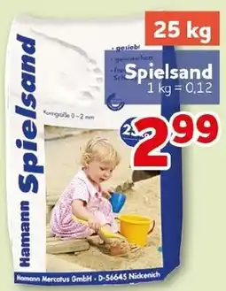 CENTERSHOP Hamann Spielsand Angebot