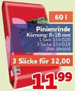 CENTERSHOP Pinienrinde Angebot