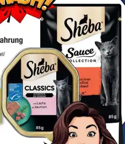 EDEKA Bandelt Sheba Katzennassnahrung Angebot