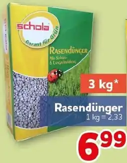 CENTERSHOP schola Rasendünger Angebot
