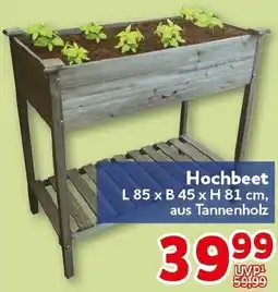 CENTERSHOP Hochbeet Angebot