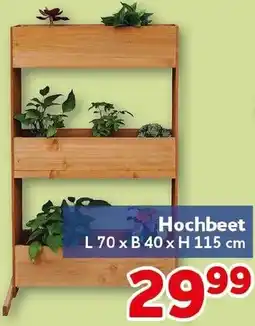 CENTERSHOP Hochbeet Angebot