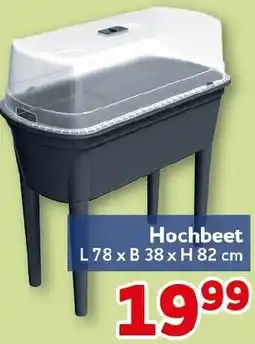 CENTERSHOP Hochbeet Angebot