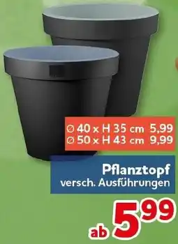 CENTERSHOP Pflanztopf Angebot