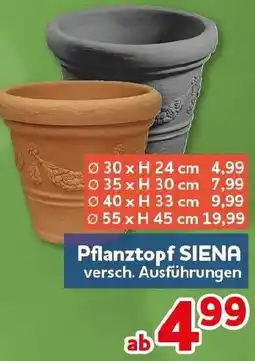 CENTERSHOP Pflanztopf SIENA Angebot