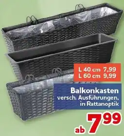 CENTERSHOP Balkonkasten Angebot