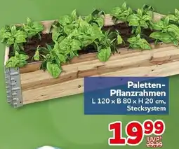 CENTERSHOP Paletten Pflanzrahmen Angebot