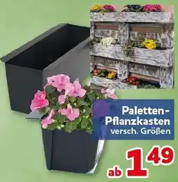 CENTERSHOP Paletten Pflanzkasten Angebot