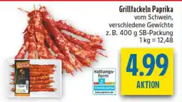 diska Grillfackeln Paprika Angebot