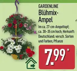 Aldi Nord GARDENLINE Blühmix Ampel Angebot