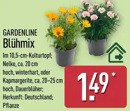 Aldi Nord GARDENLINE Blühmix Angebot