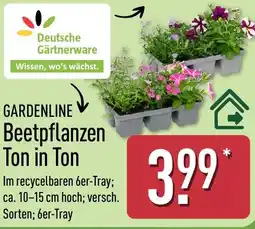 Aldi Nord GARDENLINE Beetpflanzen Ton in Ton Angebot