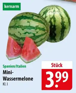 Famila Nord Ost Mini Wassermelone Angebot