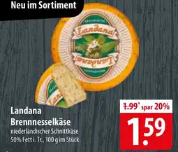 Famila Nord Ost Landana Brennnesselkäse Angebot