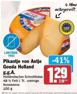 HIT Pikantje von Antje Gouda Holland g.g.A Angebot