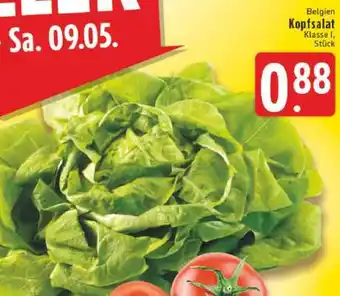 Edeka Kopfsalat Angebot