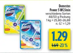diska Domestos Power 5 WC-Stein Angebot
