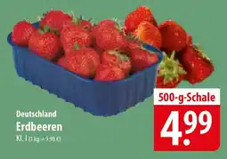 Famila Nord Ost Erdbeeren Angebot