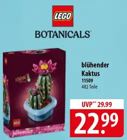Famila Nord Ost Lego botanicals blühender kaktus Angebot