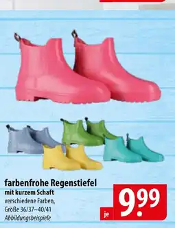 Famila Nord Ost farbenfrohe Regenstiefel Angebot