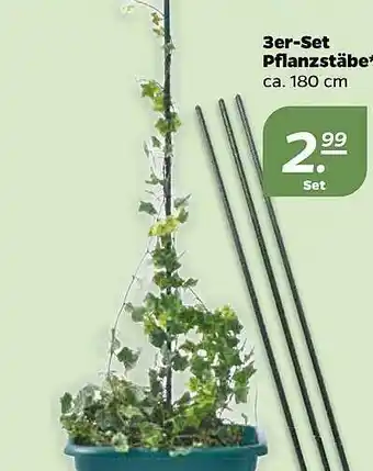 NETTO 3er-set Pflanzstäbe Angebot