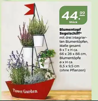 NETTO Blumentopf Segelschiff Angebot