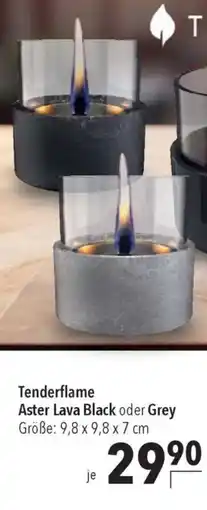 CITTI Markt Tenderflame Aster Lava Black oder Grey Angebot
