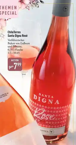 Galeria Markthalle Santa Digna Rosé Angebot